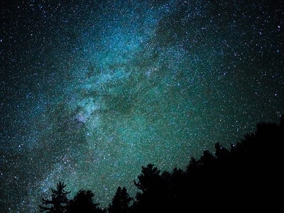 树木的轮廓显示恒星在晚上的时间
